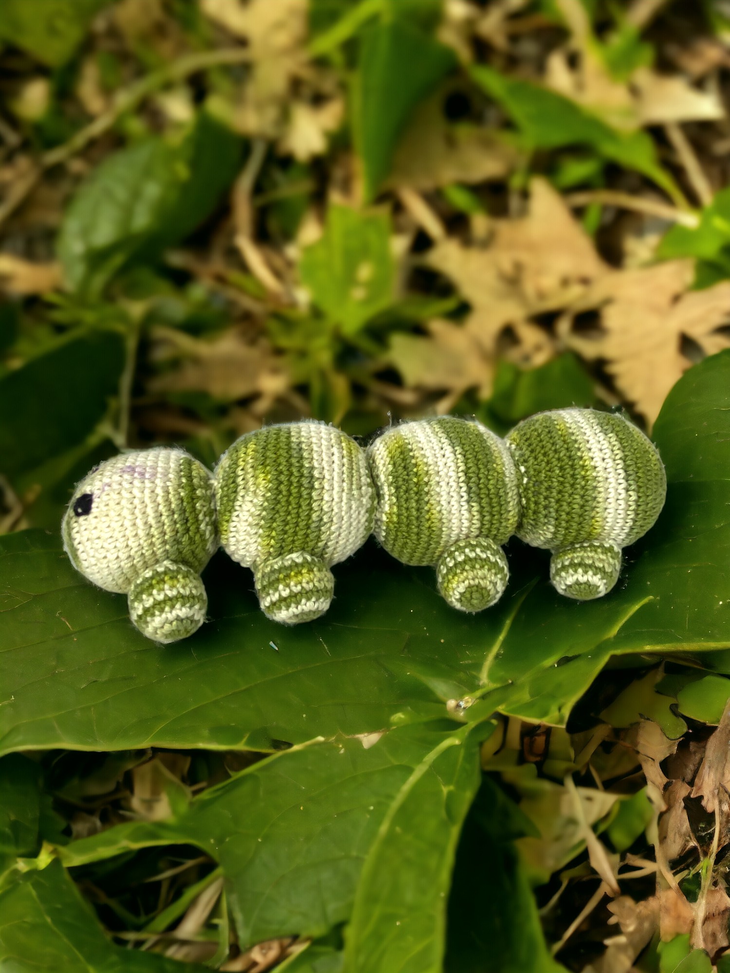 WhatsApp Image 2024-08-14 at 11.16-Photoroom (11)